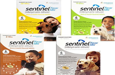 Sentinel Pet Sentinel – Carolina Poodle Rescue
