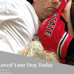 I Loved Your Dog Today: A Tribute To JJ